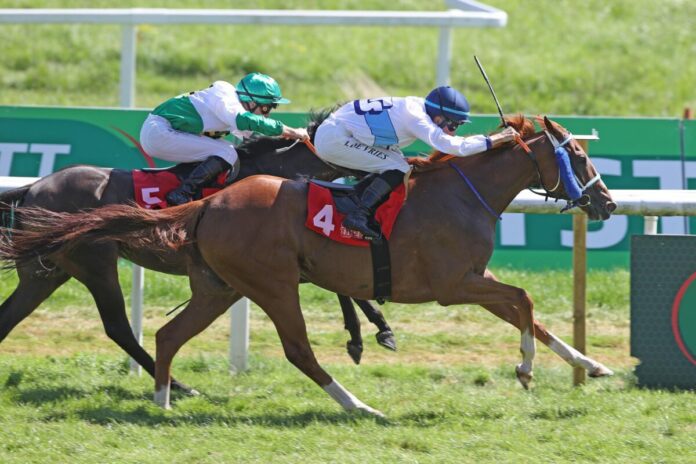 Sancho siegt unter Adrie de Vries