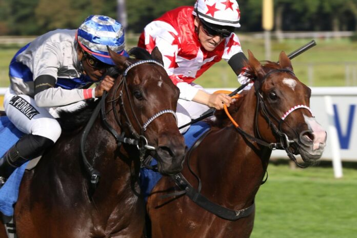 Switsch siegt unter Eduardo Pedroza im Gro§er Preis der VGH Versicherungen - BBAG Auktionsrennen