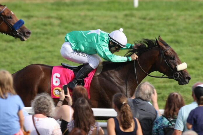 Try Me siegt unter Maxim Pecheur Try Me siegt unter Maxim Pecheur