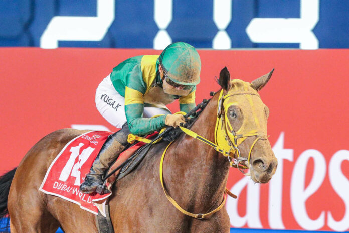Ushba Tesoro Foto: Dubai Racing Club