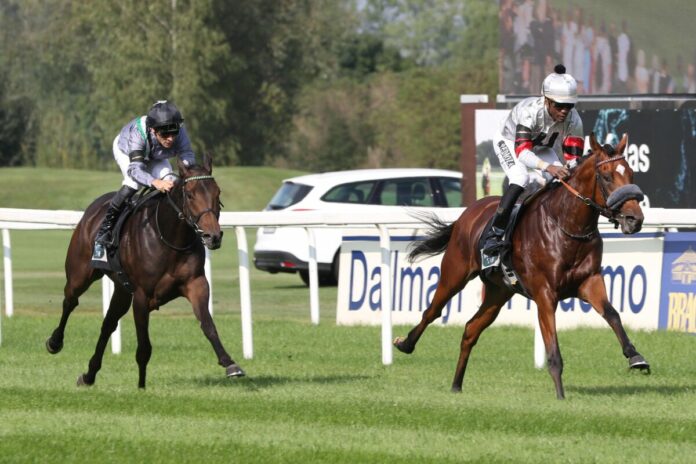 Wilko siegt unter Eduardo Pedroza Wilko siegt unter Eduardo Pedroza