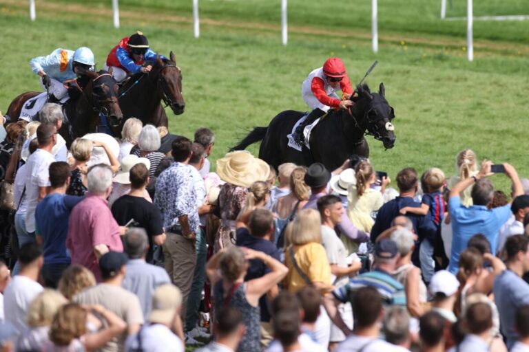 Calif für 400.000 Euro verkauft – Zukunft in Bahrain?