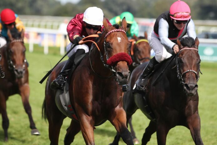 Mr Hollywood Mr Hollywood