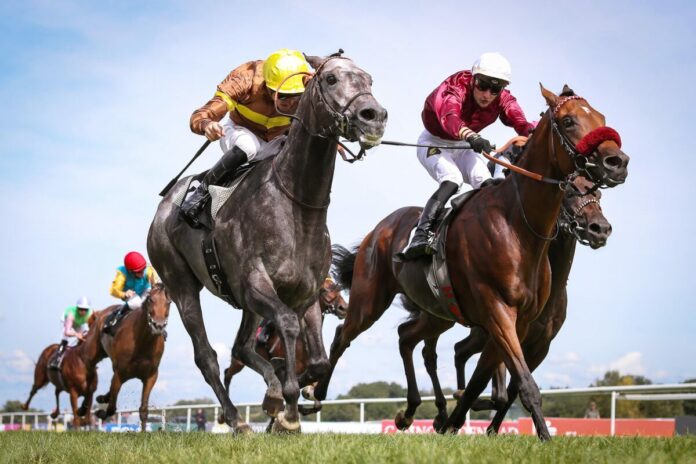 Zagrey (li.) siegt unter Christoph Soumillon im 153. Wettstar.de Großer Preis von Baden Zagrey (li.) siegt unter Christoph Soumillon im 153. Wettstar.de Großer Preis von Baden