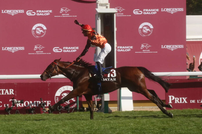 Ace Impact gewinnt den Prix de l'Arc de Triomphe Ace Impact gewinnt den Prix de l'Arc de Triomphe