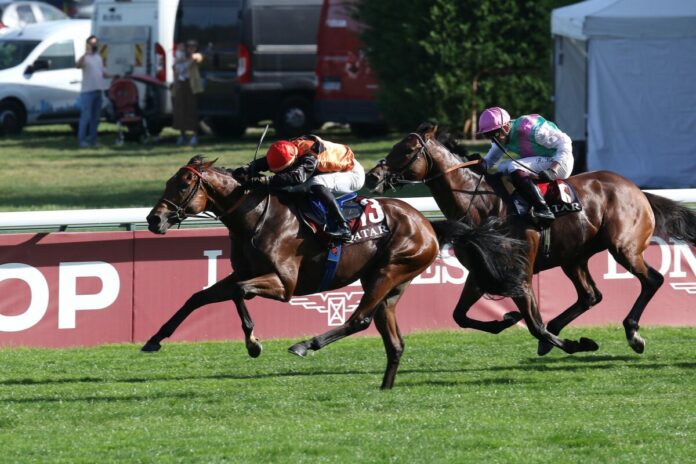 Ace Impact siegt mit Christian Demuro im Qatar Prix de l'Arc de Triomphe Ace Impact siegt mit Christian Demuro im Qatar Prix de l'Arc de Triomphe