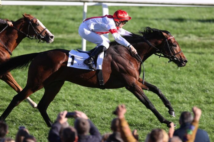 Alessio siegt unter Rene Piechulek in der The Länd-Trophy