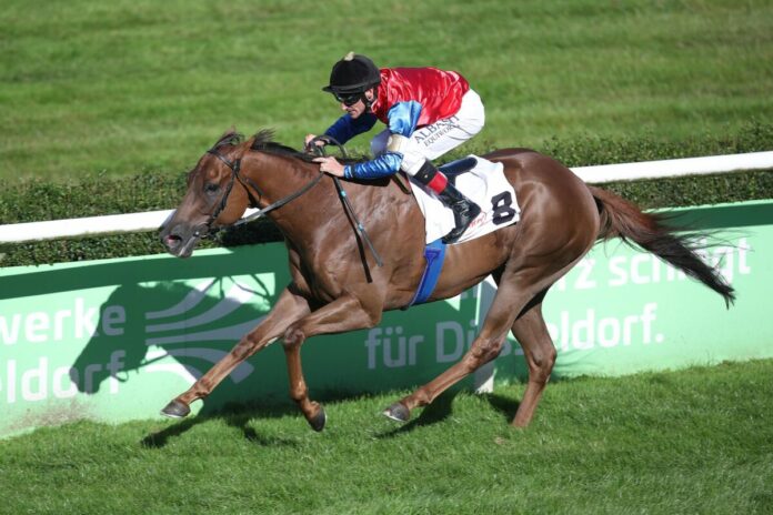 Ante Alios siegt unter Andrasch Starke Ante Alios siegt unter Andrasch Starke