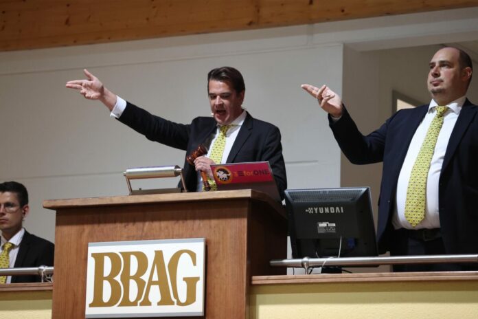 Auktionator Alexander Franke