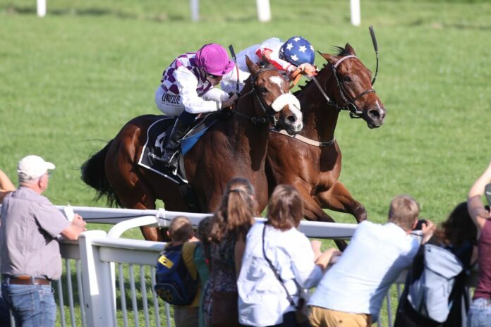 Tashbeeh siegt unter Thore Hammer-Hansen