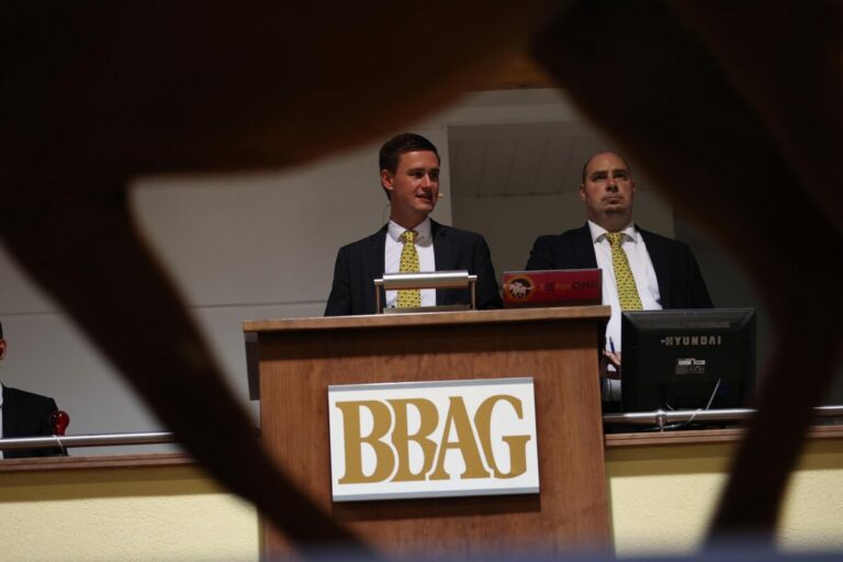 Tag zwei der BBAG Sales & Racing Festival-Auktion hat begonnen