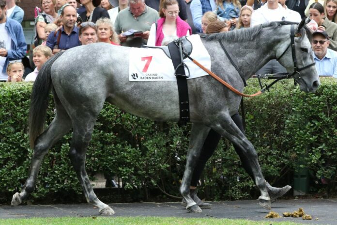 Best Flying (Archiv) Best Flying (Archiv)