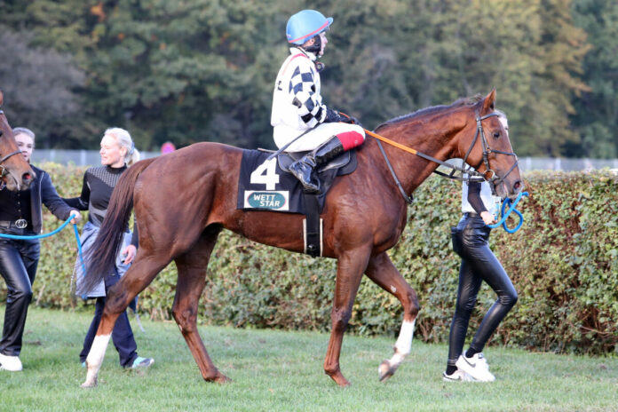 Bundeskanzler (Archiv) Foto: Sorge