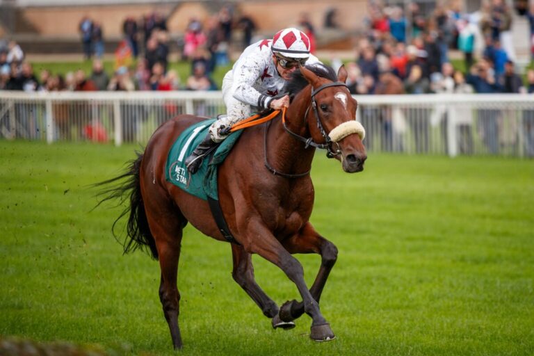 Cherry Brandy siegt unter Wladimir Panov