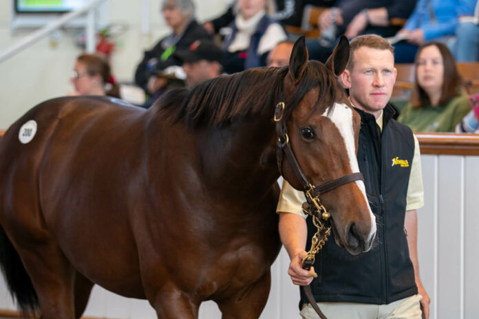 Die Lot-Nummer 200 bringt 900.000 Guineas Foto: Tattersalls