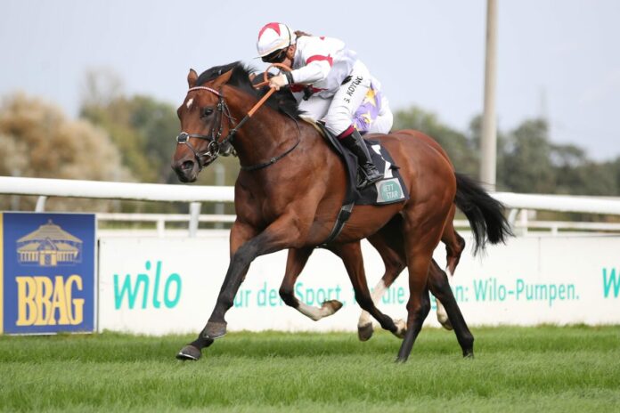 Thekingofmyheart siegt unter Stefanie Koyuncu