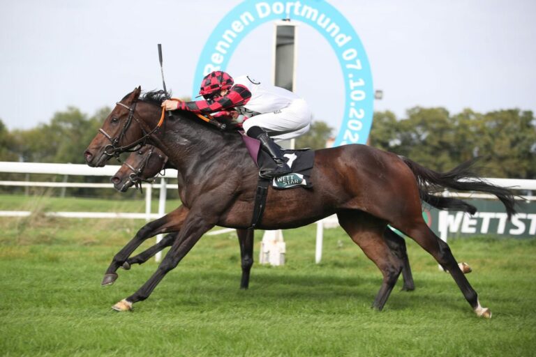 „Lucky 7“ Dzubaszs Velato beim siebten Start erfolgreich