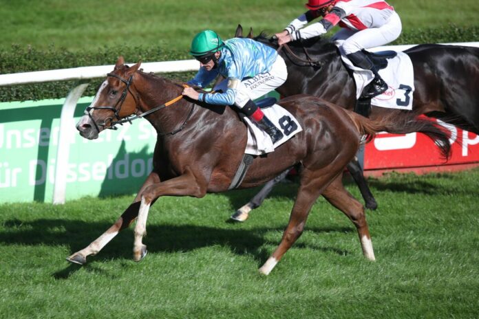 Donna Helma siegt unter Andrasch Starke