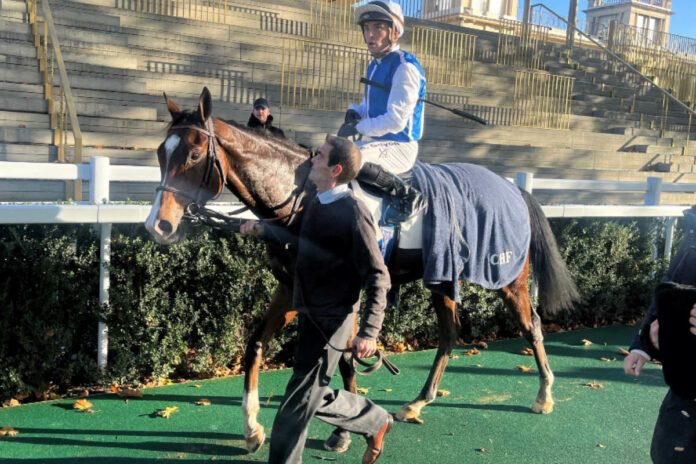 Double Major im Führring von Paris Double Major im Führring von Paris