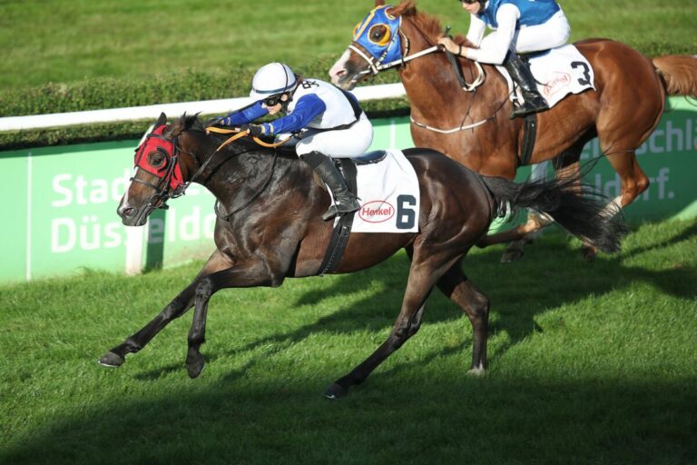 Gernreichs Mister Speaker sorgt für Heimtreffer – Ready to Rumble „ü“