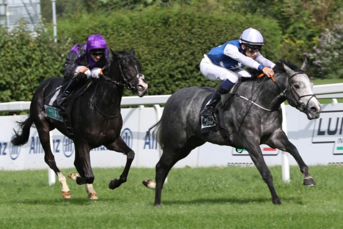 Grey Darling siegt unter Konstantin Phillip