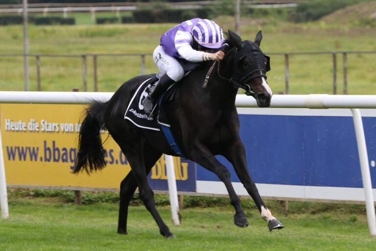 Winterkönigin-Starterin Words of Peace kostet 34.000 Euro