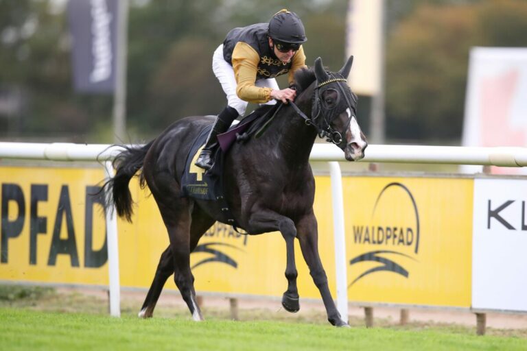 Einzige Sieglose gewinnt Listenrennen: Wöhlers Waldfrieda vorne