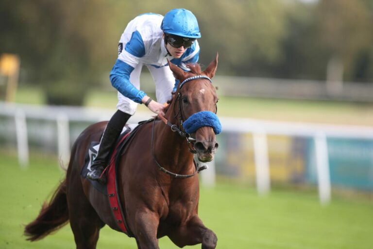 Grewe zieht wieder gleich: Donna Guilietta siegt beim Debüt