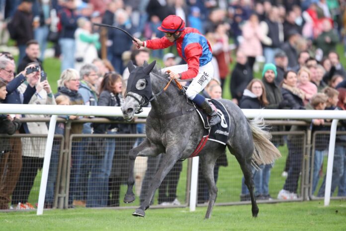 North Reliance siegt unter Thore Hammer-Hansen im Herbst Stutenpreis - Gr.3