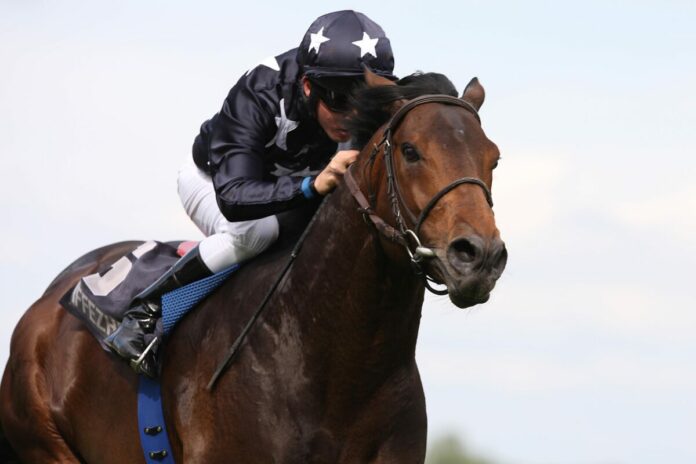 It s Gino siegt unter K.McEvoy im 37. Grosser Preis der Badischen Unternehmen