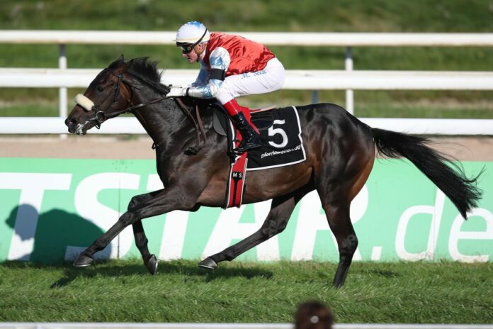 Wintertraum siegt unter Martin Seidl