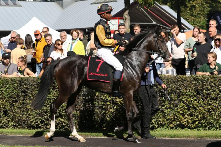 Fünf zweijährige Stuten auf Listenebene im ersten Rennen des Tages