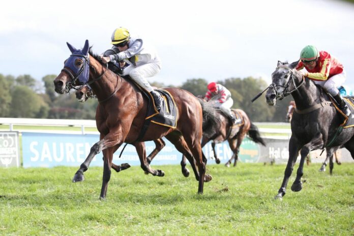 Camiro siegt unter Sibylle Vogt