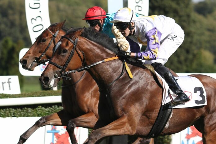 Linzona siegt unter Leon Wolff Linzona siegt unter Leon Wolff