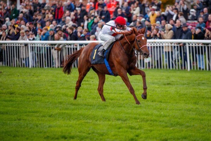 Lordano siegt unter Andrasch Starke im Silbernes Pferd