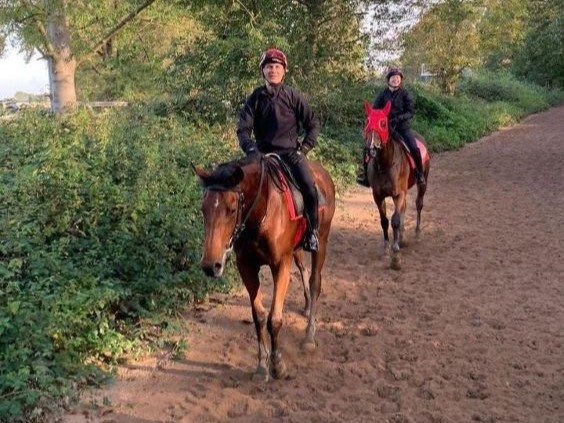Michal Abik Training
