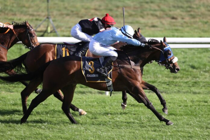 Mimoset siegt unter Nina Baltromei