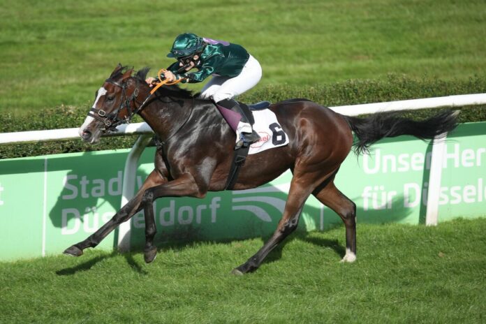 Montanus siegt unter Anna van den Troost Montanus siegt unter Anna van den Troost