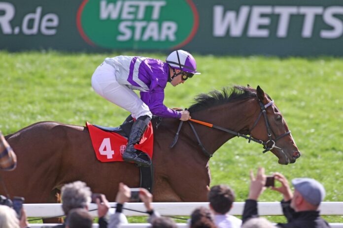 Novemberrose siegt unter Rene Piechulek