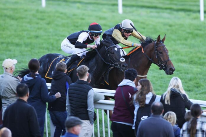 Occasion siegt unter Tommaso Scardino nach Disqualifikation von Santino Corleone Occasion siegt unter Tommaso Scardino nach Disqualifikation von Santino Corleone