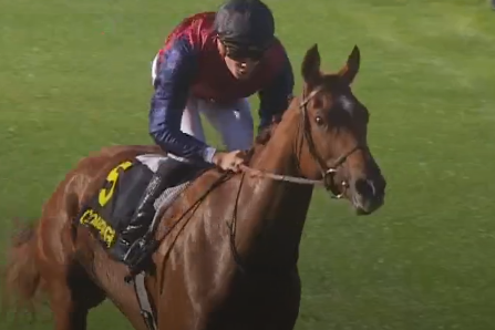 Tasmania (Equidia Screenshot)