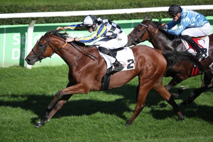 Seronera siegt unter Leon Wolff