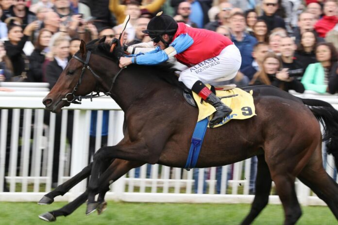 Shagara siegt unter Andrasch Starke im BBAG-Preis der Winterkönigin, Gr.3