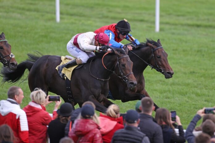 Shagara siegt unter Andrasch Starke im BBAG-Preis der Winterkönigin