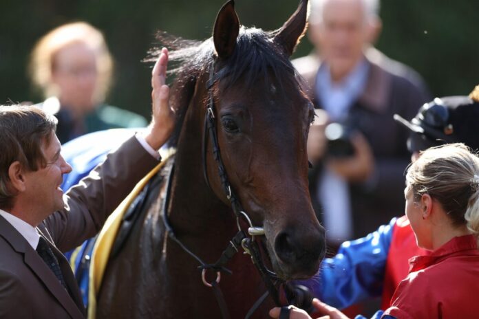 Markus Klug (li.) mit Shagara Markus Klug (li.) mit Shagara