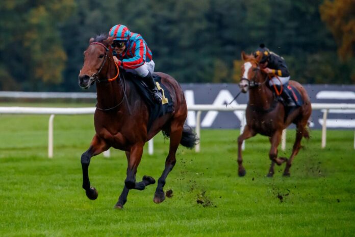 Sunny Sun siegt unter Shuichi Terachi