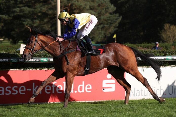 Valentino Dancer siegt unter Michael Cadeddu