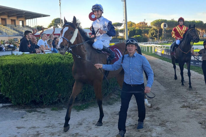 Der frische Gruppe III-Sieger Westminster Night in Rom