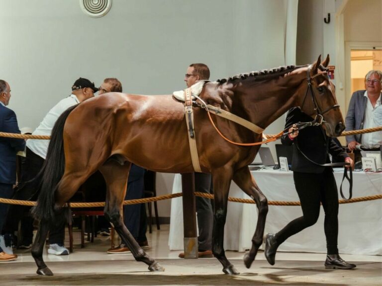 Führerinnen von Muskoka und Winning Spirit erhalten Auszeichnungen