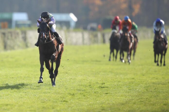 Aurelia Aurita siegt unter Lilli-Marie Engels